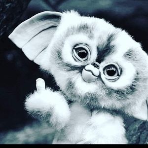 Meet your Posher, Dwaine